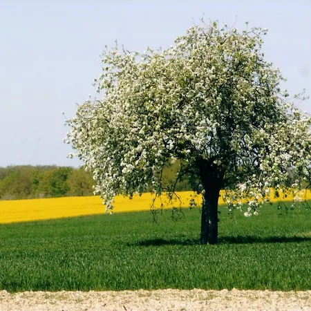 Dom wakacyjny La Colin'othe Bucey-en-Othe