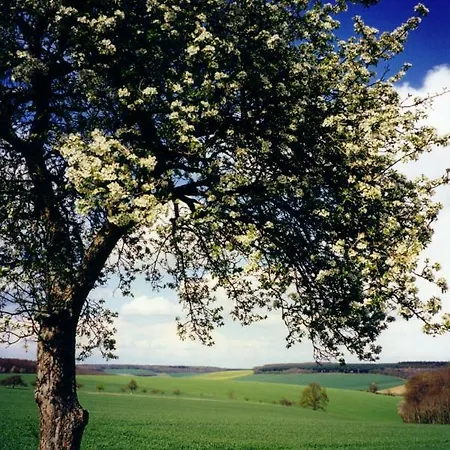 La Colin'othe Dom wakacyjny *